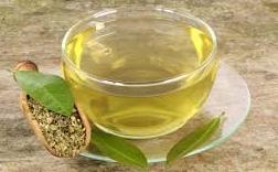 Yerba Mate Tea