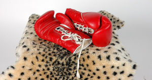 boxing gloves