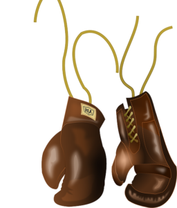 boxing gloves 2